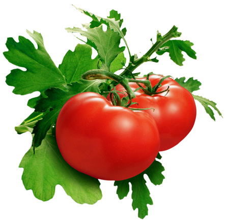 skin-care-tecniques-with-the-humble-tomato